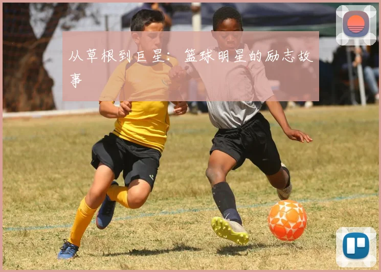 从草根到巨星：篮球明星的励志故事