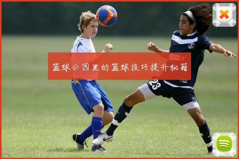 篮球公园里的篮球技巧提升秘籍